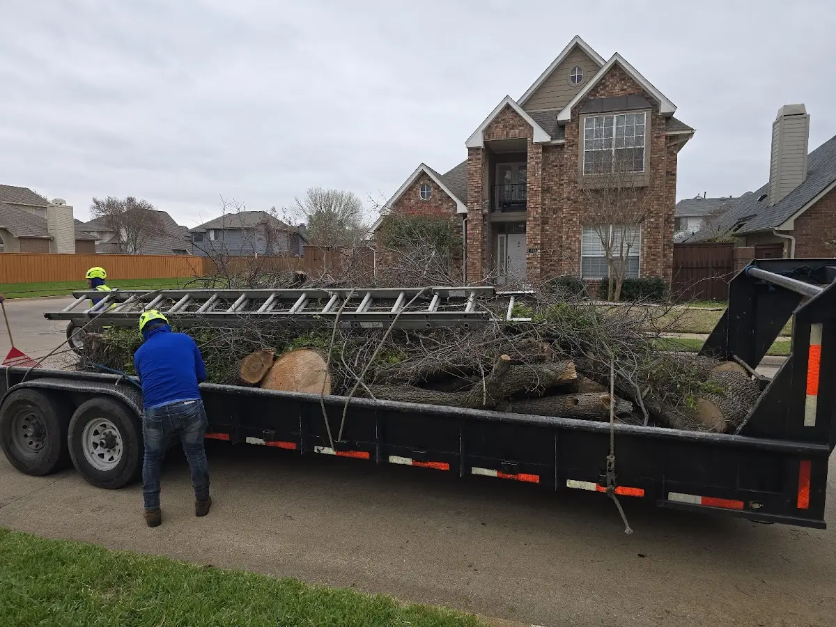 Expert Tree Fertilization with proper safety equipment in Los Alamos
